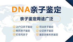 安徽省可以做DNA亲子鉴定吗【咨询预约】，安徽省做亲子鉴定的流程